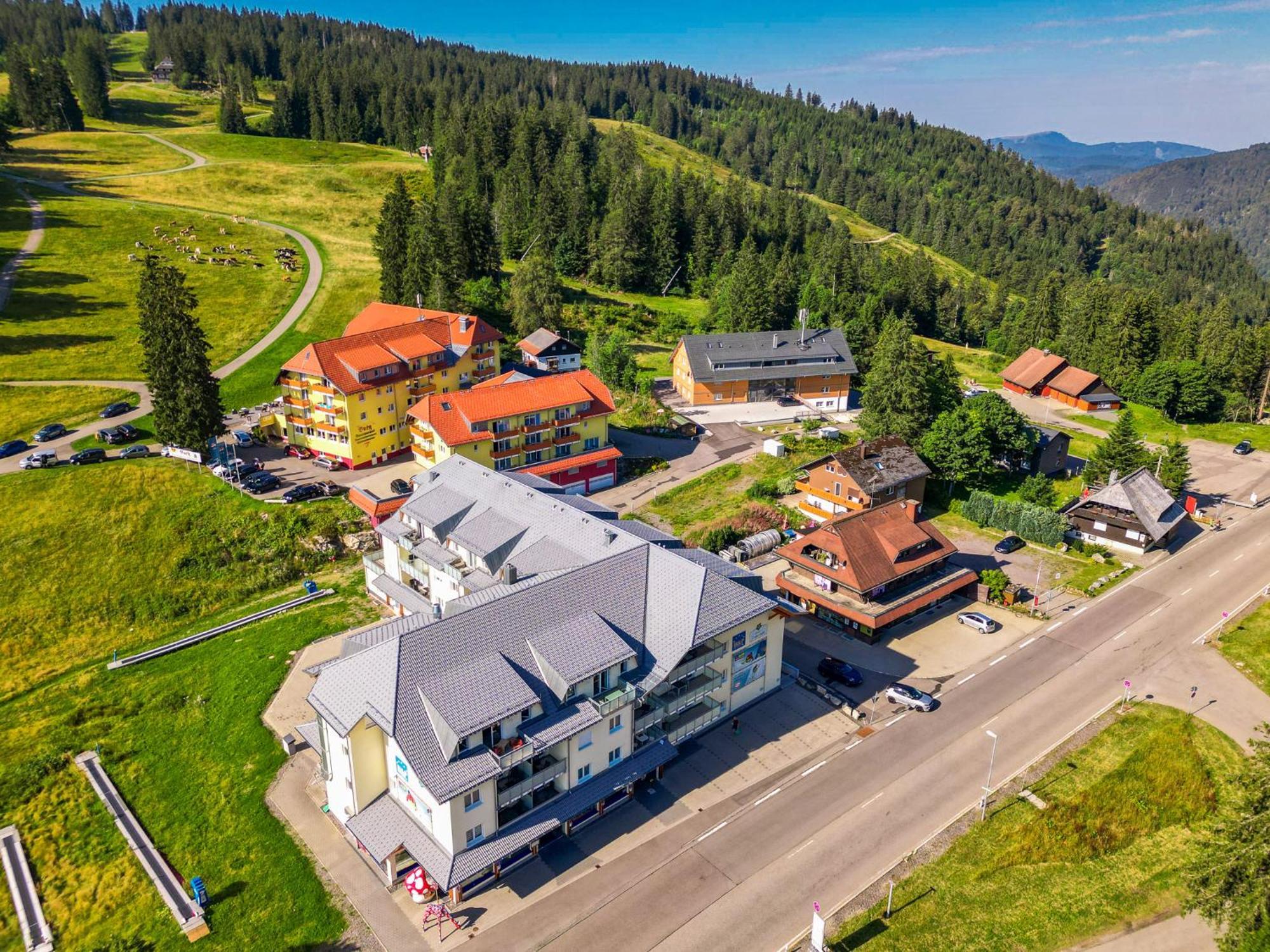 Appartement Feldberg Domizil - Residenz Grafenmatt à Rinken Extérieur photo